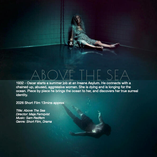 2026 Above The Sea